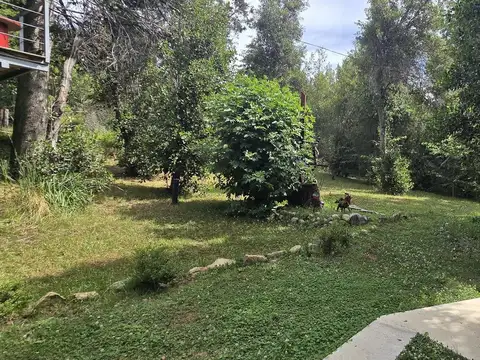 Pridiliano Pueyrredon 700