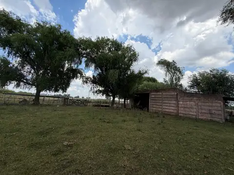 Campo - Ignacio Correas Arana