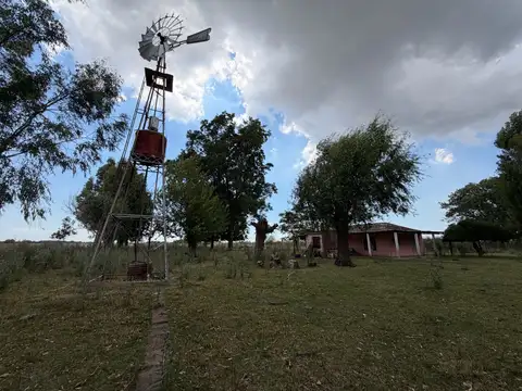 Campo - Ignacio Correas Arana