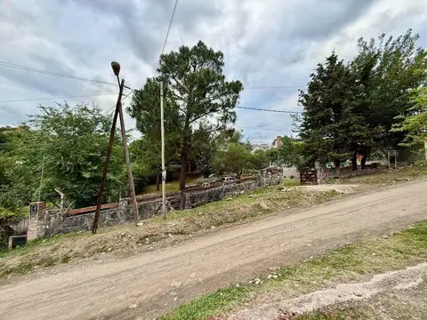 Los Nogales 100