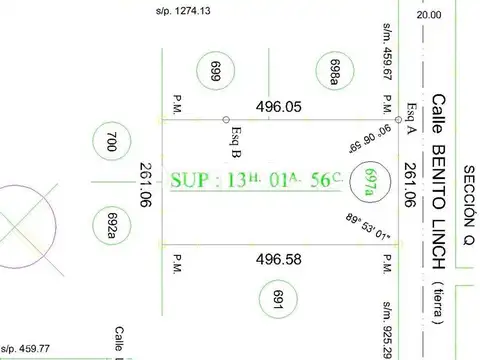 Benito Lynch y Tupac Amaru 100