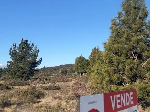 Terreno en Venta de 10000,0 m2