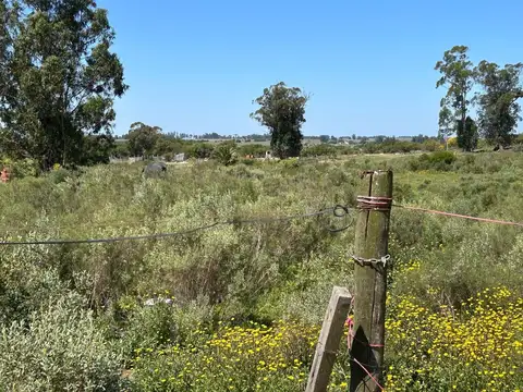 Terreno en Venta de 10000,0 m2