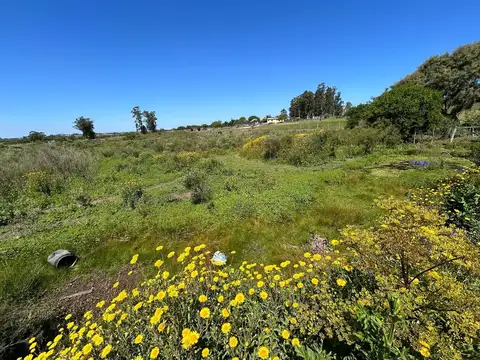 Ruta 39