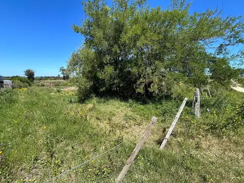 Ruta 39