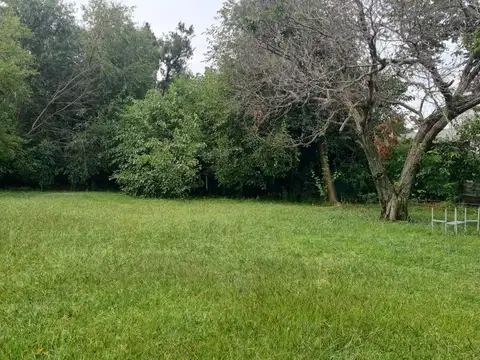 Miguel Unamuno y Sócrates