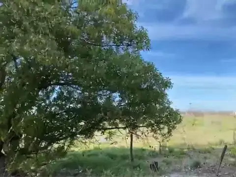 Terreno en Venta 62  mts Frente