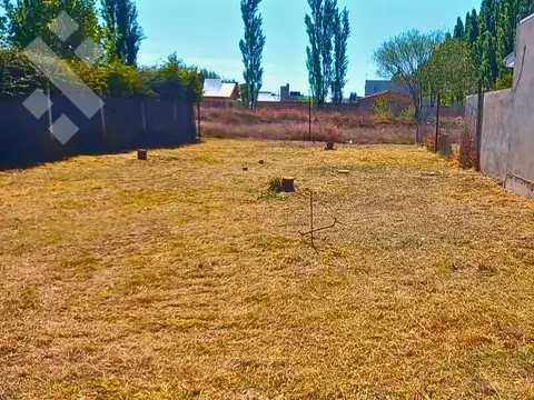 Terreno en Venta en Plottier, Confluencia