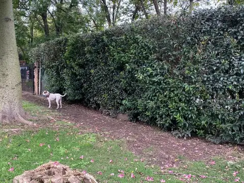 Terreno en Venta de 2405,0 m2