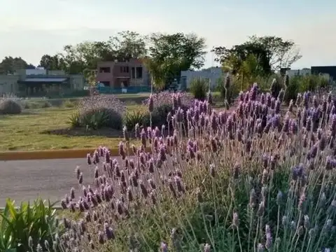 Terreno en Venta 15  mts Frente