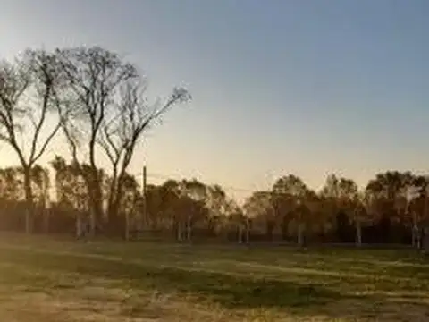 Terreno en Venta 36  mts Fondo