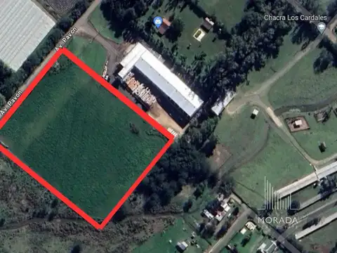 VENTA TERRENO EXALTACION DE LA CRUZ NOGALIS APTO CREDITO