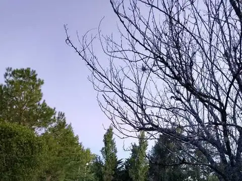 Terreno en Venta de 999,0 m2