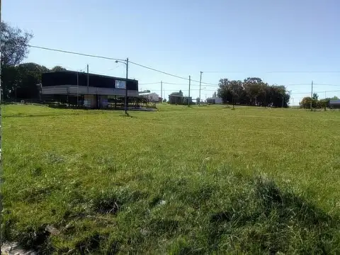 Los Narvales e/ Los Salmones y Las Centollas