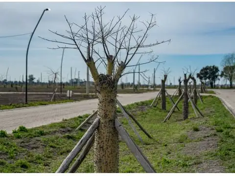 Km 12,5 Sobre Ruta 18 , Piso No definido