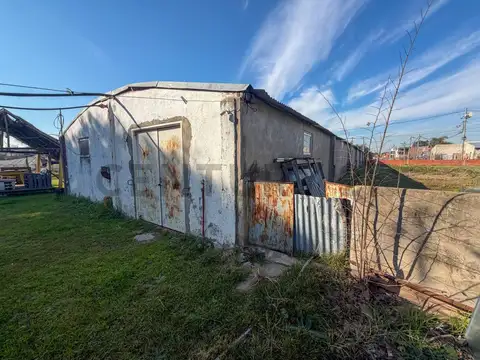 Falucho 300