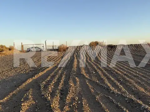 PARCELA  EN VENTA 20 HECTAREAS 