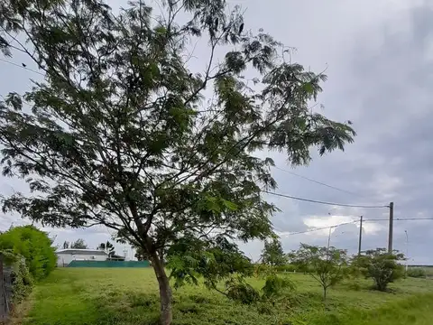Terreno en Venta de 1226,0 m2