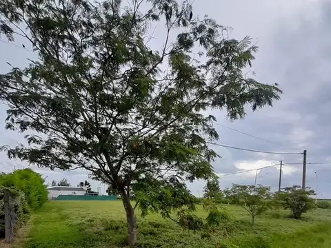 Nosti esq. Santos Dumont