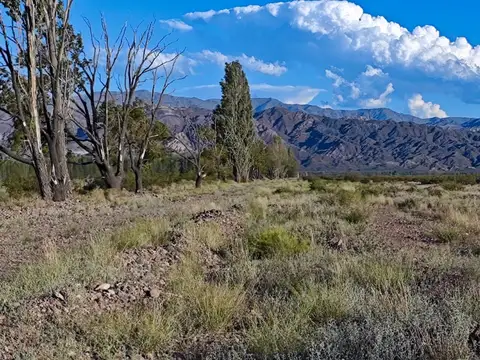 Campo en Venta de 10  ha