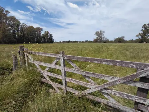 Terreno en Venta en Los Pinos, USD 24.900