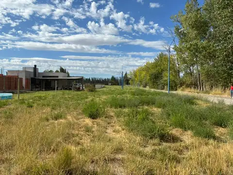 Terreno en Venta en General Roca, USD 21.000