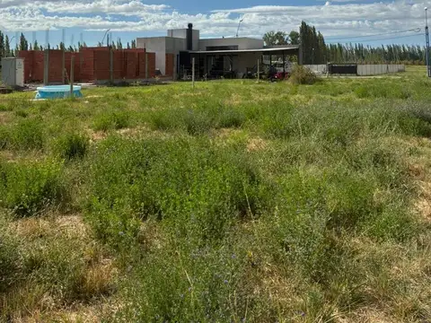 Terreno en Venta en General Roca, USD 21.000