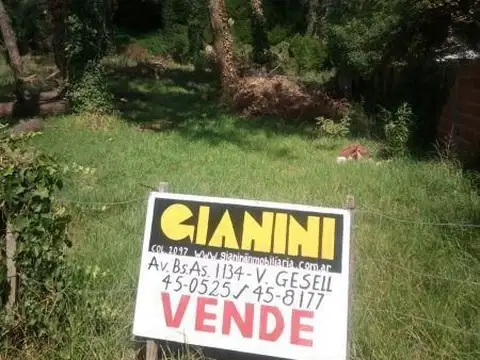 Lote | Paseo 113 al 100
