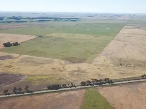 Mar del Plata  240 has