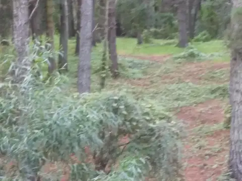 DEL PLATA Y SANTA MARÍA