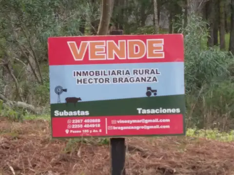 LOTE COMERCIAL EN MAR DE LAS PAMPAS