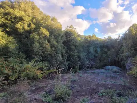 VENTA LOTE  EN SAN MARTIN DE LOS ANDES - CUESTA DE SEPULVEDA