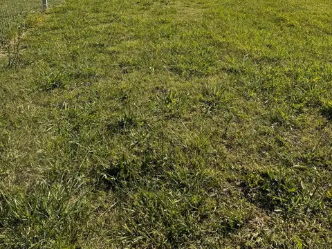 Terreno en Venta de 273,0 m2