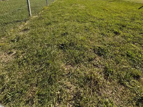 Terreno en Los Talas