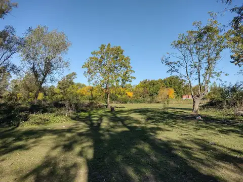 Terreno La Lonja Pilar