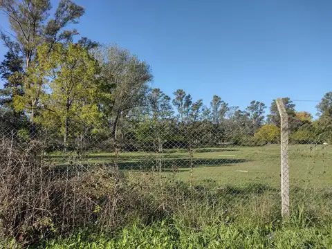 Terreno en Venta de 11380,0 m2