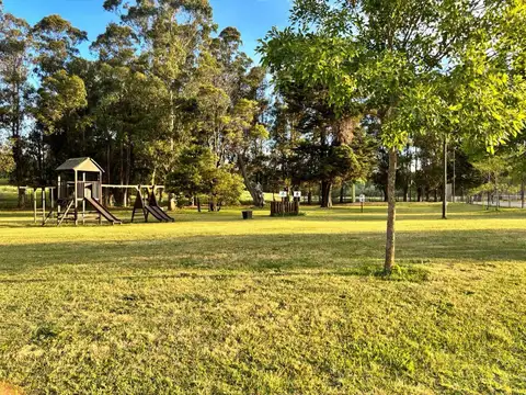 Barrancas De San Benito