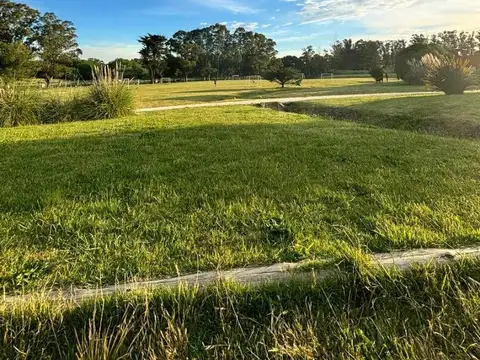 Terreno en Venta de 872,0 m2