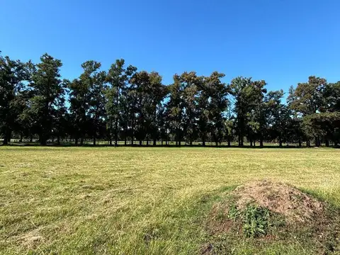 Terreno en Venta en Almahue, USD 135.000