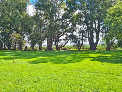 Campo en General Alvear