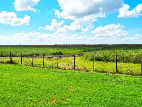 General Alvear 324 Ha