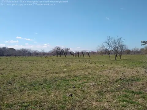 85Ha. Calle Libertad. Marcos Paz, Cercano al Centro y Ruta 6