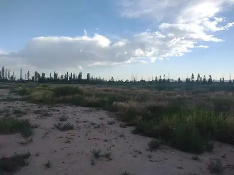 Terreno en Venta de 30000,0 m2