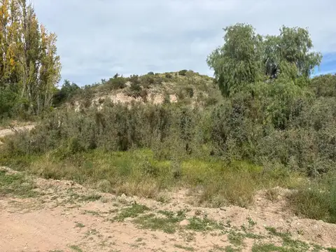Terreno en Venta en Lujan De Cuyo, USD 165.000
