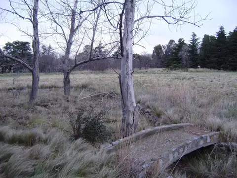 Ruta Provincial 76 Km22