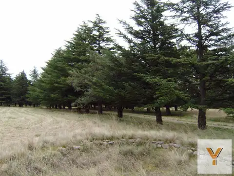 Terreno en Venta de 5490,0 m2