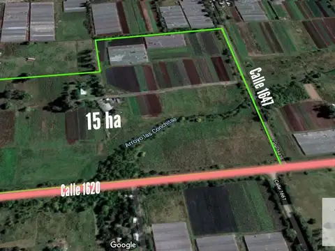 1620 e/ 1643 y 1647