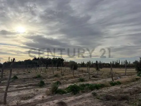 VENTA DE CAMPO DE 2.7 HA EN SAN RAFAEL MENDOZA. ID: 343654