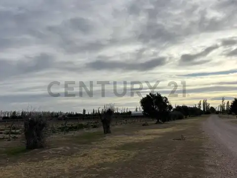 Campo en Venta de 2,70  ha