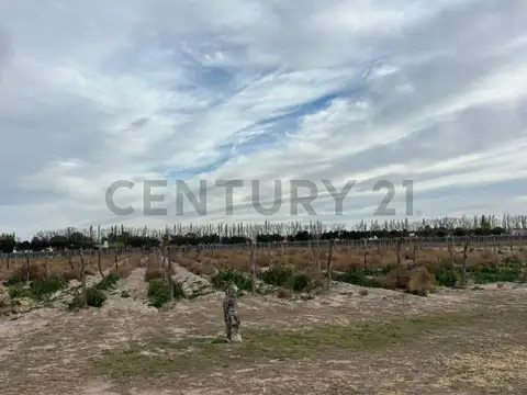 Campo en Venta de 2,70  ha